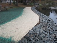 Shoreline Restoration